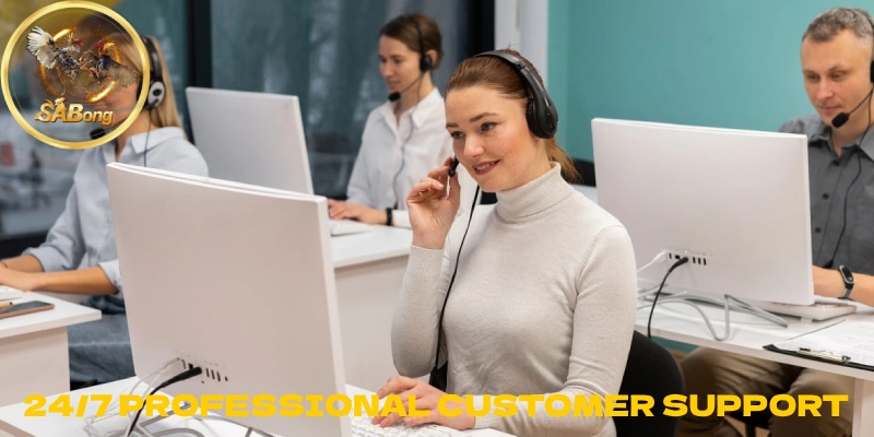 24/7 Professional Customer Support