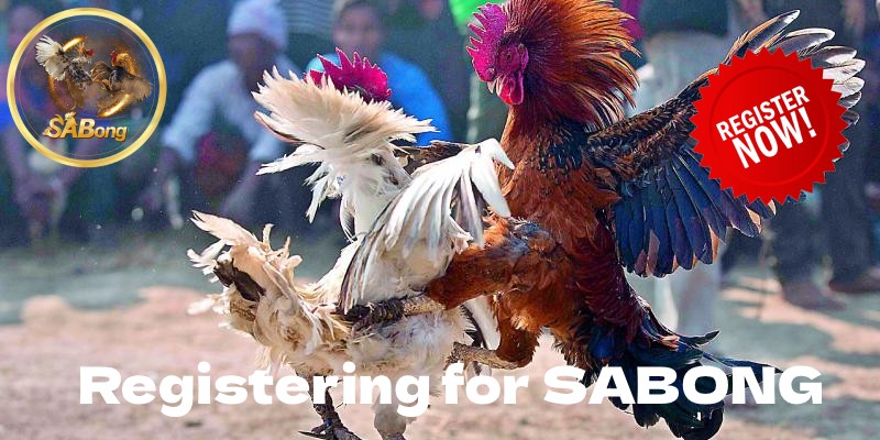 Conditions You Must Follow to Registering for SABONG