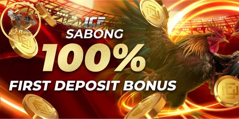 New Members Get a 100% First Deposit Bonus