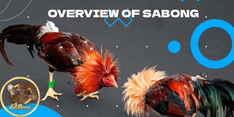 Overview of SABONG – A Trusted Betting Platform in Asia