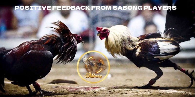 Positive Feedback from SABONG Players