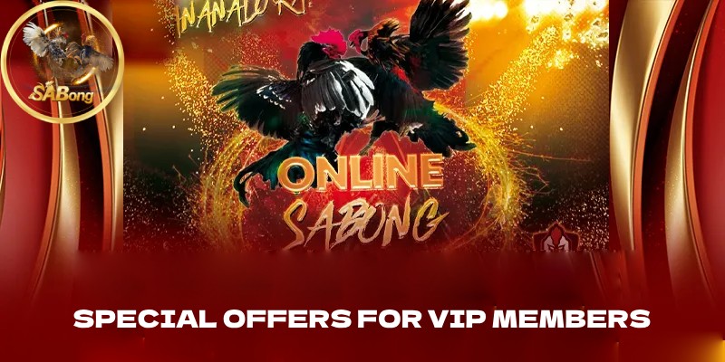 Special Offers for VIP Members