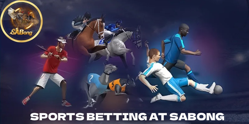 Sports Betting with High-Profile Matches Worldwide