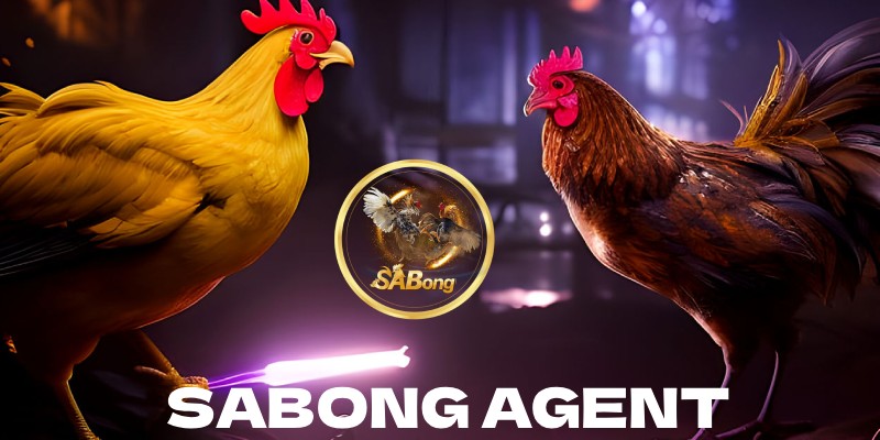 What Benefits Do Gamblers Get When Becoming a SABONG Agent?