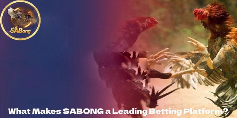 What Makes SABONG a Leading Betting Platform?