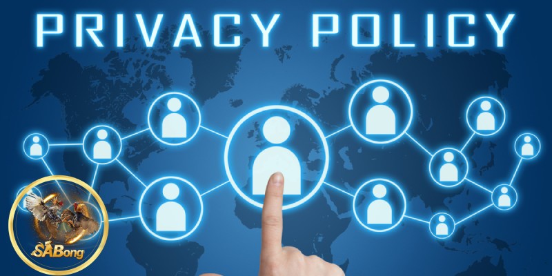 What is the SABONG Privacy Policy?