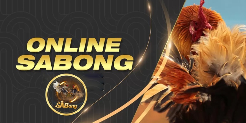 Online Sabong betting